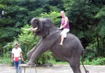 woman on elephant