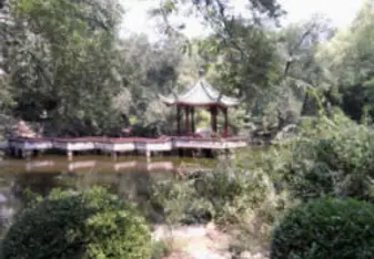 lake and greenery tongji university 