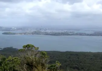 view auckland city