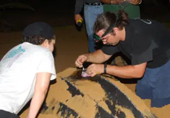 Daniel has worked to protect sea turtles for many years