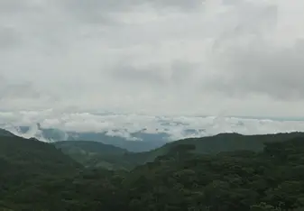 Interview with Leigh, teacher at the Cloud Forest School in Costa Rica