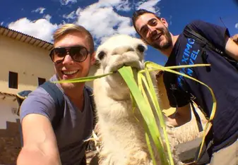 animals in peru 
