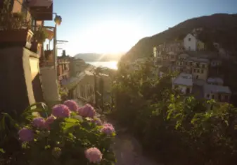 Beautiful Scenery
