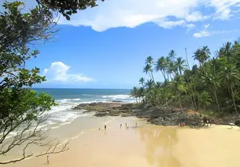 beaches of Brasil