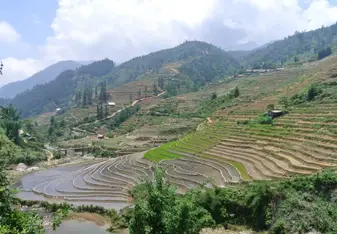 Sapa