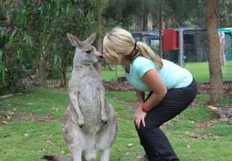 girl kneeling down to kiss kangaroo