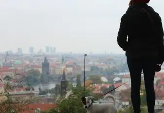 An amazing foggy view of Prague from the castle grounds. 