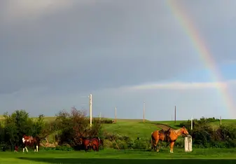 Rainbow after the rain