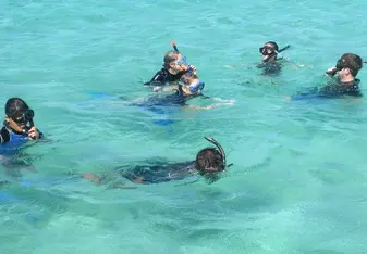 Students swimming