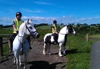 Equine study abroad program in Scotland