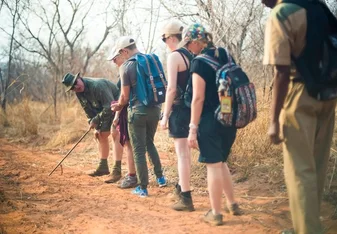 Wildlife Conservation in Victoria Falls with IVHQ