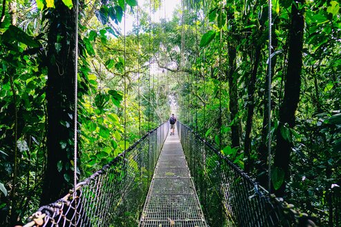 Suspension bridge in Costa Rica