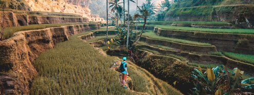 10 Best Digital Nomad Jobs in 2022