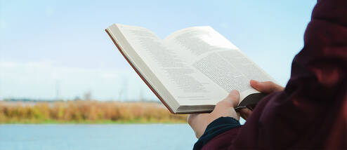 Earn Academic Credit on Your Gap Year