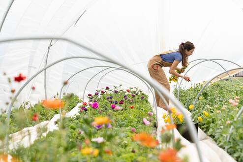 Person planting flowers