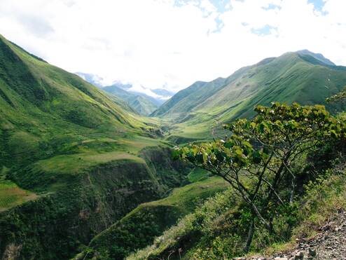 Lush green hills in Ecuador