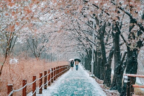 Photo by Daniel Bernard on Unsplash