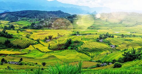 Photo by Hà Link on Unsplash