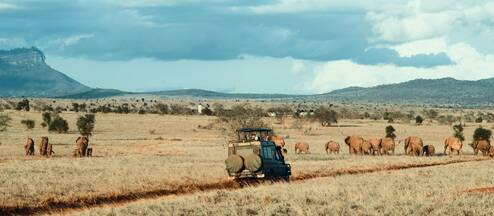 Photo by redcharlie on Unsplash