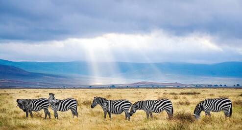 Photo by Hendrik Cornelissen on Unsplash