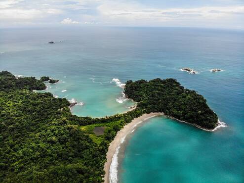 Overhead view of beach and forest of trees