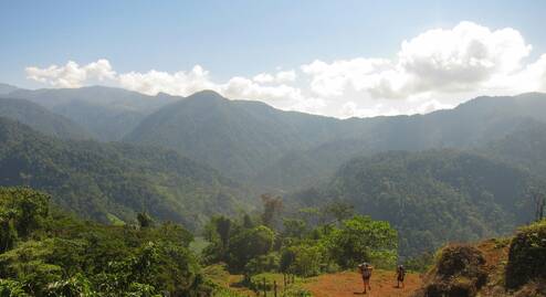 Photo by Outward Bound Costa Rica on Unsplash