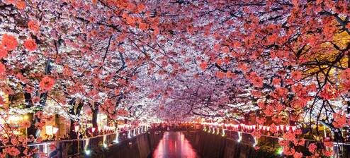 Photo by Sora Sagano on Unsplash