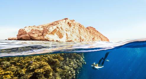 A woman snorkels near a reef.