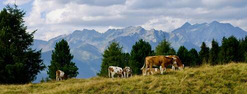 Photo by Michael Kora on Unsplash