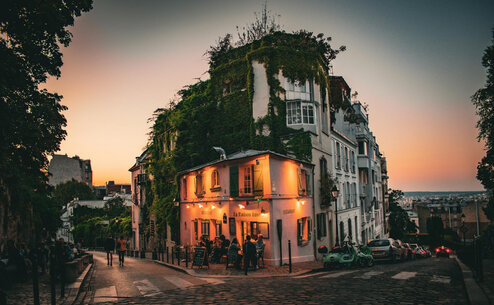 Photo by Aaron Braitmaier: https://www.pexels.com/photo/tenement-covered-with-moss-in-paris-20838590/