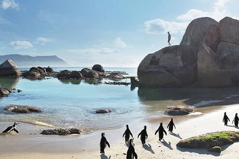 Cover Photo Cape Town, South Africa