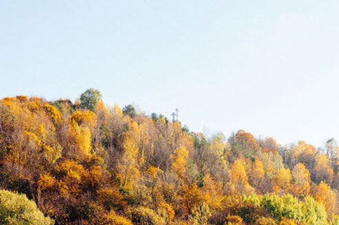 Lithuania Cover Photo