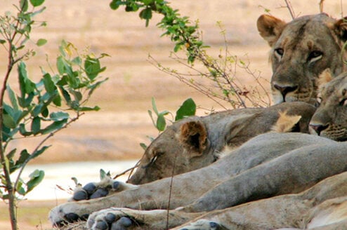 Zambia Cover Photo