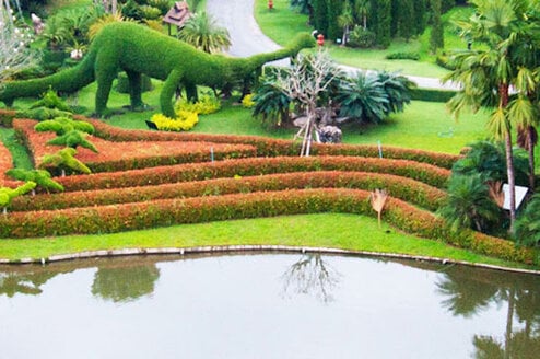 Gap Year in Chiang Mai, Thailand