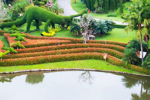 Gap Year in Chiang Mai, Thailand