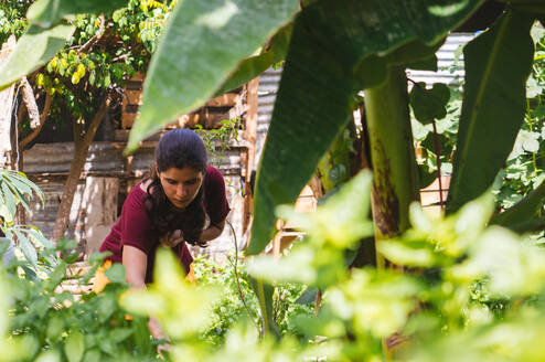 Agriculture Intern - Intern Abroad HQ