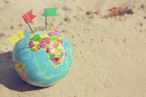 TEFL Org Globe tefl org