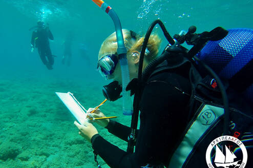 diving survey