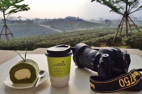 Camera and horizons