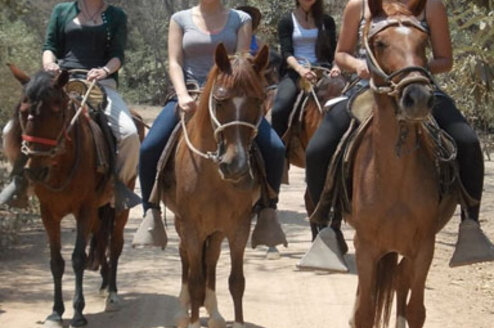guiding the tours on horseback