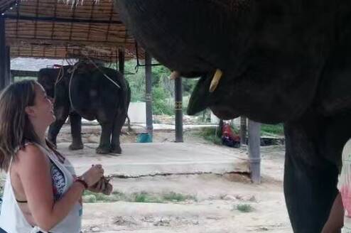 Wonderful experiences can be had in Thailand