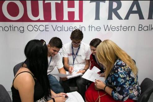 OSCE Internship Programme