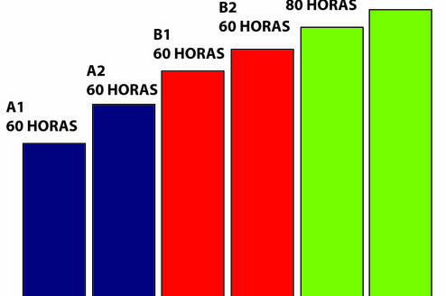 Dele exam levels