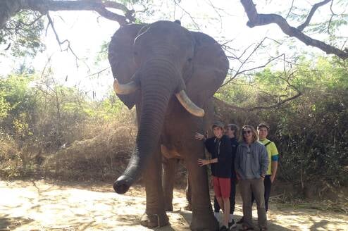 Students at Elephant Sanctuary with Bold Earth Adventures.