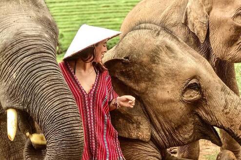 What to Know Before Volunteering with Elephants Featured