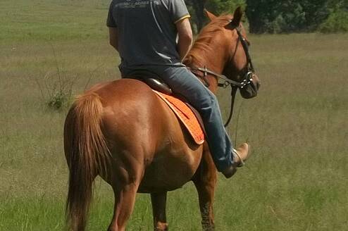 Horse riding