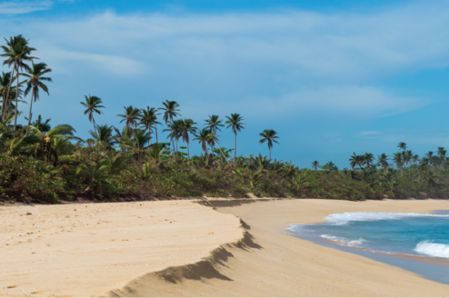 Volunteer in Puerto Rico with IVHQ