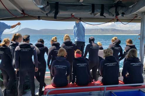 A+ World Academy Students shark diving in Cape Town
