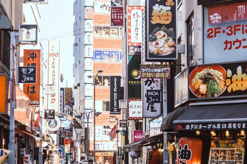 Japan 13 Day Tour - Mount Fuji japan