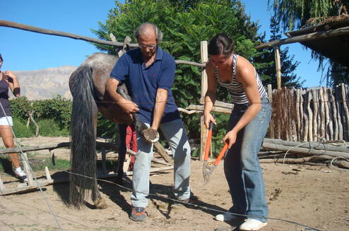 Conservation project